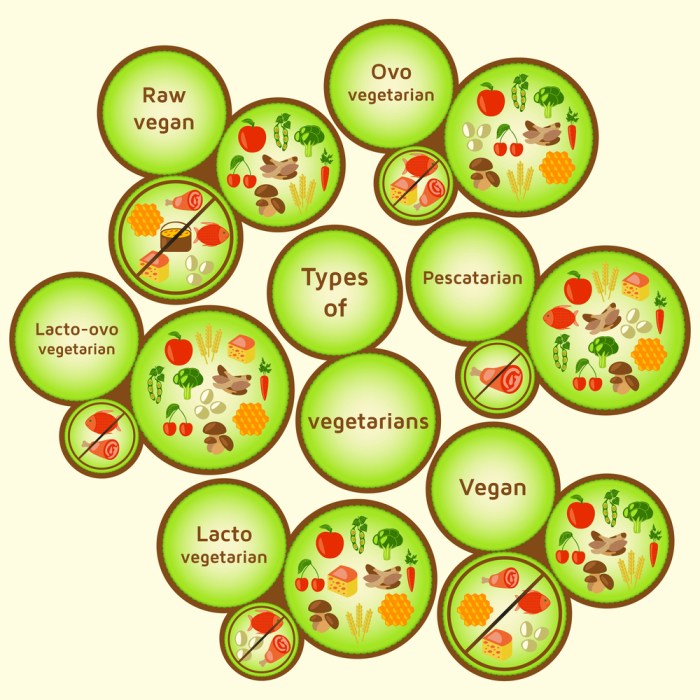 Different types of vegetarian diets