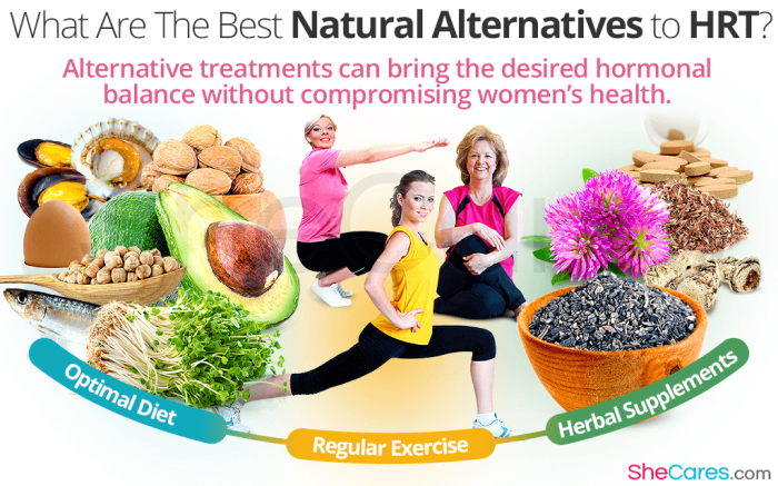 Natural hormone replacement therapy