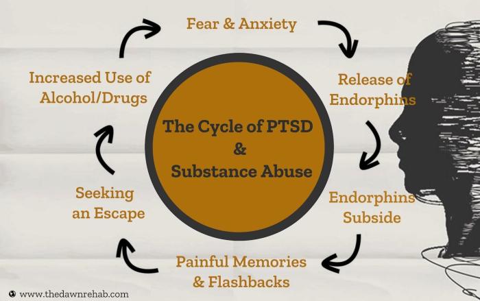 Mental health abuse substance disorders anxiety introduction issues disorder drug conditions likely alcohol although spectrum diagnoses broad dual cover